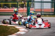 kardisport