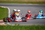 kardisport
