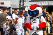 rallyestonia