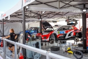 rallyestonia